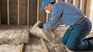 Best Wall Insulation Installation  in Allendale, SC